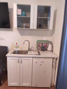 Kuchyň nebo kuchyňský kout v ubytování Viola rooms