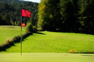 Golf v hotelu nebo okolí