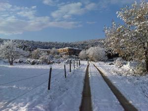 una cerca en un campo cubierto de nieve en La Locaia, en Siena