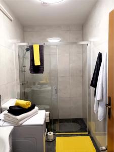 PribislavecにあるApartman Inesのガラスドア付きのシャワー付きのバスルーム