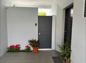 a front door of a house with potted plants at Casa da Mónica in Ponta Delgada