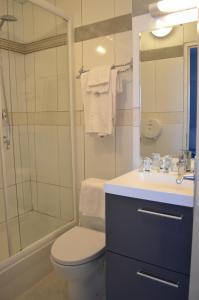 a bathroom with a toilet and a sink and a shower at Hotel Central Anzac in Amiens