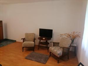 TV a/nebo společenská místnost v ubytování Bistro VILLAGE HOUSE