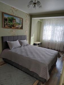 キシナウにあるApartaments Sandraのベッドと天井扇風機のある寝室