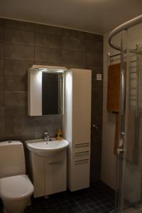 a bathroom with a sink and a toilet and a mirror at Klintvägen 1 in Mariehamn