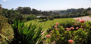 Gallery image of Protea-Sabr in Sir Lowry Pass