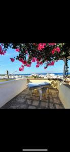 a picnic table sitting under a tree near the beach at Le conchiglie relax in spiaggia in Lido Conchiglie