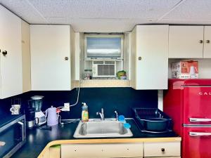 PRIVATE 2 BR Apt with PRIVATE Backyard in LIC !!!的厨房或小厨房