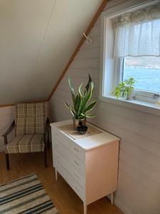una habitación con una planta en un tocador y una ventana en Lysbøen Bua, en Ramberg