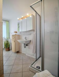 a bathroom with a sink and a shower at "Landhaus Voss" Typ 3 Nr9 in Staberdorf
