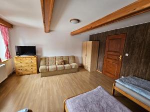 TV a/nebo společenská místnost v ubytování Apartmán U Davida