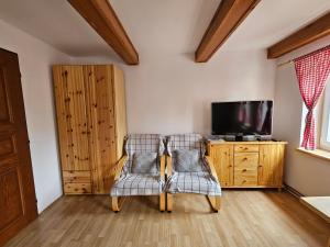 TV a/nebo společenská místnost v ubytování Apartmán U Davida