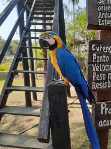 Zvířata v apartmánu nebo okolí + 3 fotografie