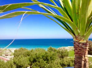 a palm tree with the ocean in the background at Playa del Mar - Adults Only in Monopoli