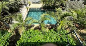 an overhead view of a swimming pool with palm trees at Ocean Mist - Stunning 3-Bedroom Apartment with Private Rooftop Terrace & Gorgeous Pool in Flic-en-Flac
