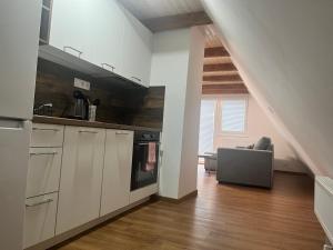 Kuchyň nebo kuchyňský kout v ubytování Apartment Lipno Hůrka