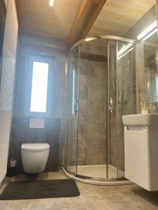Koupelna v ubytování Apartment Lipno Hůrka