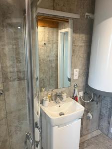 Koupelna v ubytování Apartment Lipno Hůrka
