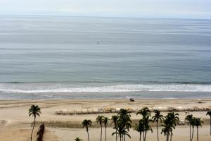 Příroda nedaleko rezortu