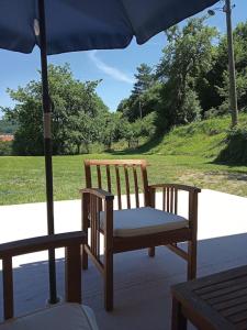 Κήπος έξω από το Studio apartman Fortica +1 φωτογραφίες