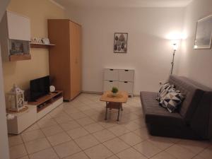 Televízia a/alebo spoločenská miestnosť v ubytovaní Apartmani Radan