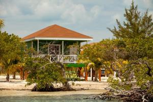 a house on the beach with trees in front of it at Coco Plum All Inclusive Resort in Dangriga