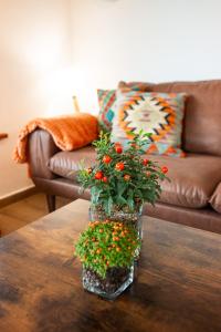 Fotografie z fotogalerie ubytování Apartamentos Montes Vindios v destinaci Cangas de Onís