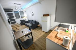 Apartamento pequeño con cocina y sala de estar. en STAN na DAN MITIC FREE PARKING, en Vranje