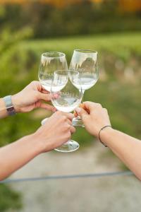a group of people holding up wine glasses at Boutique Wine and Wellness Retreat - Wine Residence Kerman in Štrigova