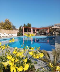 Bazén v ubytování Ero Aegina Hospitality nebo v jeho okolí