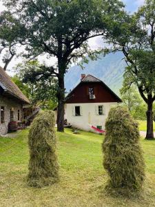 Příroda nedaleko apartmánu
