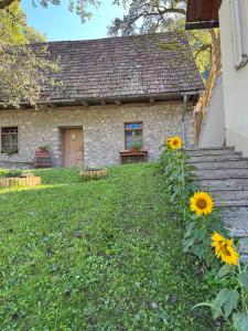 Zahrada ubytování Apartments Mala Korita Soče