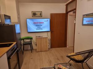 TV a/nebo společenská místnost v ubytování Studio apartman Šapudl