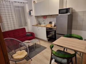 Kuchyň nebo kuchyňský kout v ubytování Studio apartman Šapudl