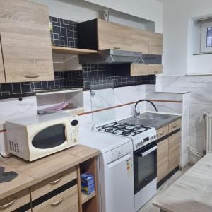 Dapur atau dapur kecil di Dom Kopernica 3