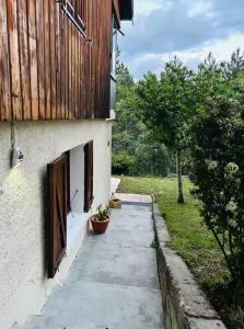 Κήπος έξω από το Chalet Forest