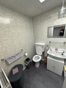 une salle de bain avec toilettes, lavabo et miroir dans l'établissement Laurel Country Cottage, à Ballymena 34 autres photos