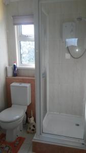 a bathroom with a white toilet and a shower at Lovely Chalet 15, Seadell Park in Hemsby +18 photos