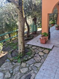 Zahrada ubytování Casa ticci