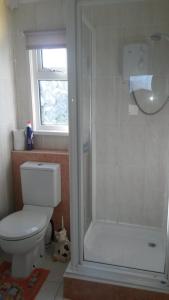 a bathroom with a white toilet and a shower at Lovely Chalet 15, Seadell Park in Hemsby