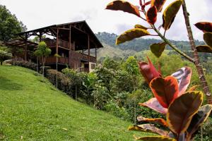 Zahrada ubytování Tominejo Ecolodge - Casas en los árboles
