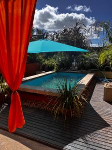 a swimming pool with a blue umbrella and some plants at PAZ Y ARMONÍA en chuy 2 in Chuy