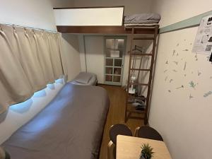 a bedroom with a bunk bed and a ladder at Guest House Nishijin INN in Fukuoka