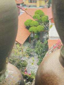 Ogród w obiekcie Trang An ViewPoint Homestay