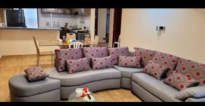 a living room with a gray couch with pink pillows at Giovi's house in Ilo +5 photos
