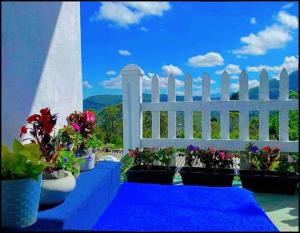 a white fence with potted plants on a blue floor at YaYa Lodge Haputale in Haputale