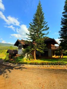 Příroda nedaleko prázdninového domu