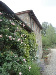 Imagen de la galería de Il Capriolo, en San Cerbone