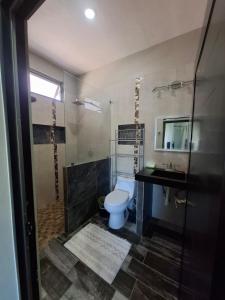 ein Badezimmer mit Toilette, Waschbecken und Dusche in der Unterkunft Departamentos La Roca D7 in La Peñita de Jaltemba