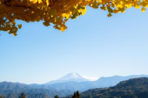 Paesaggio naturale nelle vicinanze of country house